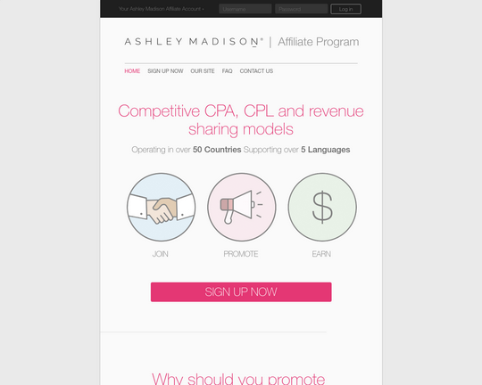 Ashley Madison Logo